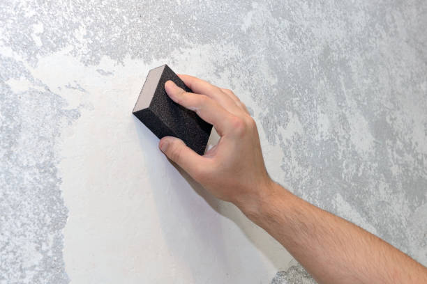 Best Environmental Consulting for Mold Prevention  in Pass Christian, MS