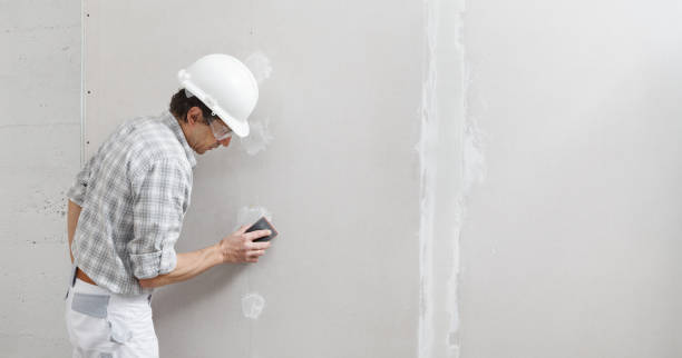Best Attic Mold Removal  in Pass Christian, MS