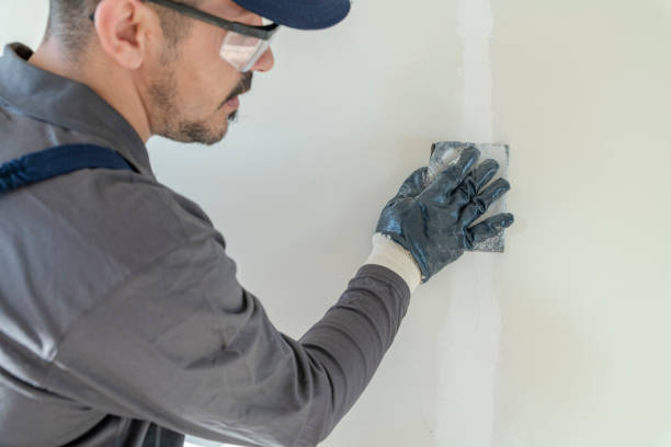 Best Mold Odor Removal Services  in Pass Christian, MS