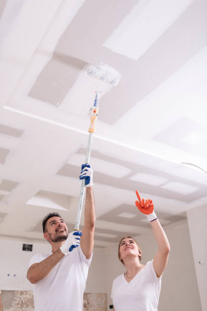 Best Basement Mold Removal  in Pass Christian, MS