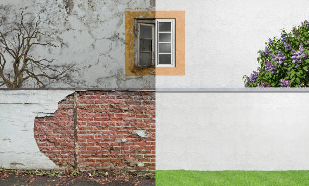 Best Mold Prevention Services  in Pass Christian, MS