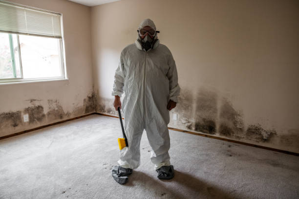 Asbestos and Lead Testing During Mold Inspection in Pass Christian, MS