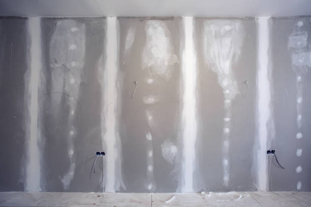 Best Crawl Space Mold Remediation  in Pass Christian, MS